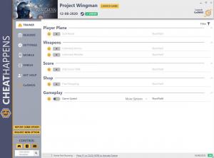 Project Wingman Trainer for PC game version v12.08.2020