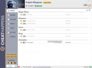 Project Wingman Trainer for PC game version v01.13.2021